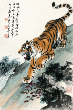 張善孖 老虎 未分層