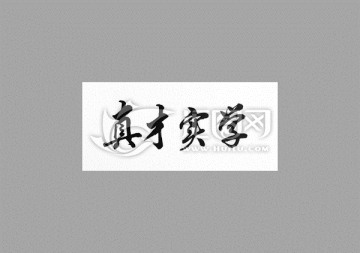 真才實(shí)學(xué)