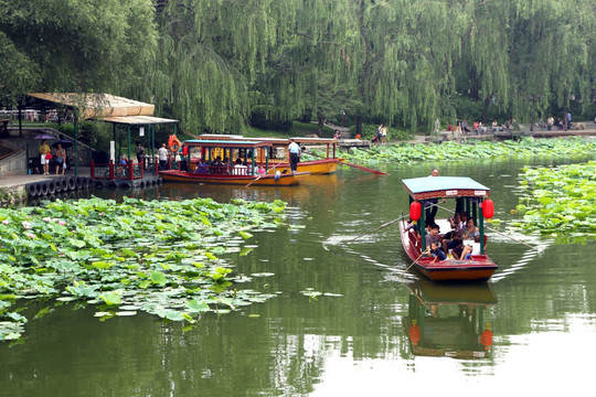 北京紫竹院公园