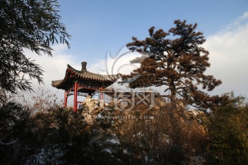 凉亭 松树 假山