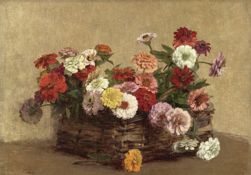 百日菊 菊花 花籃
