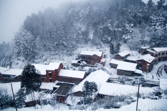 雪景