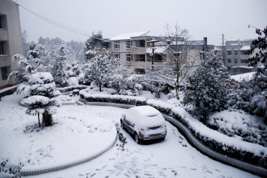 雪景