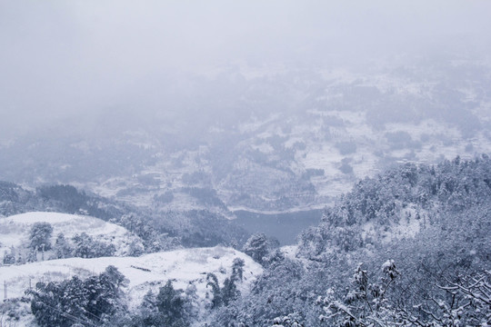 雪景