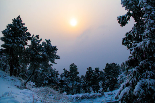 雪景