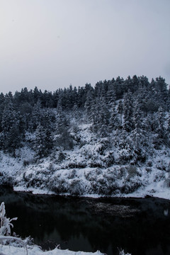 雪景