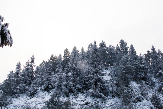 雪景