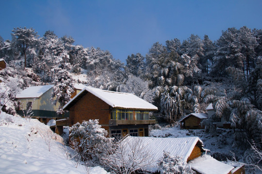 雪景