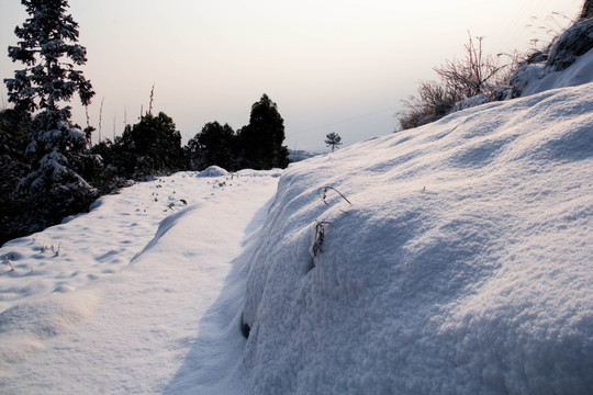 雪景