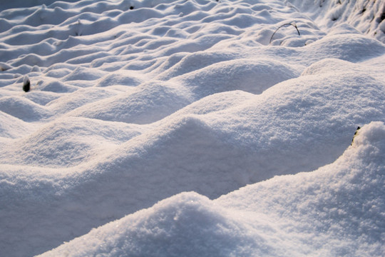 雪景