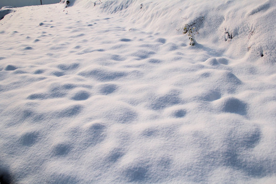 雪景