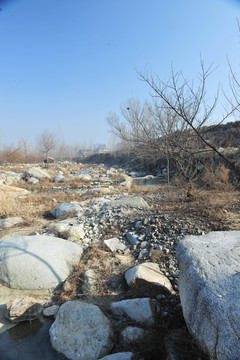 田野