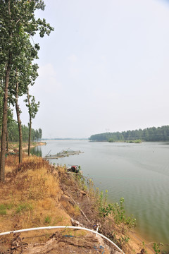 河岸风景  大河