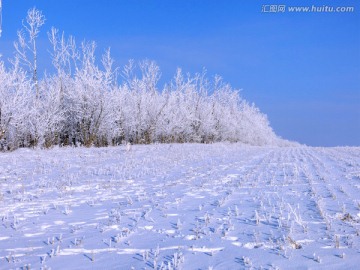冬季雪原
