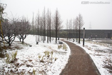 下雪天树枝雪地积雪小路