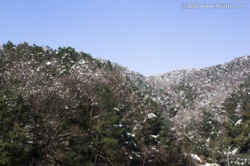 雪景 树枝 蓝天 小屋