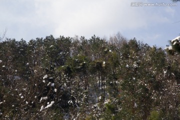 乡村雪景 山岳 蓝天白云树