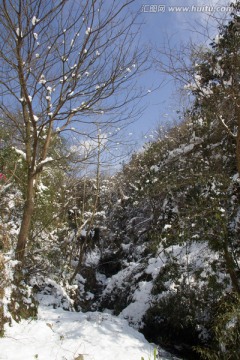 雪地风景 小路 积雪铺地