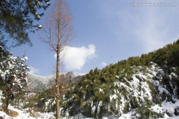 雪景风光