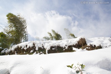 雪景风光