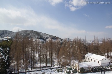 雪景树林中小屋