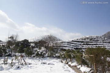 冬季雪景风光