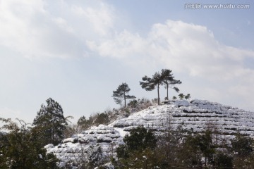 雪山中的一对树