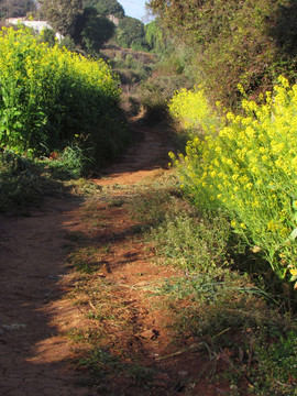 山路