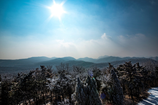 仰天山雾淞 冬 雪 雾淞 雾