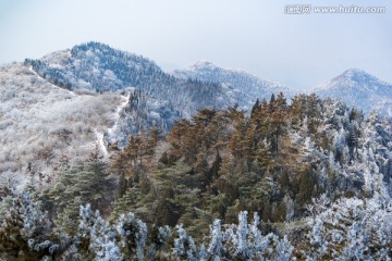 仰天山雾淞 冬 雪 雾淞 雾