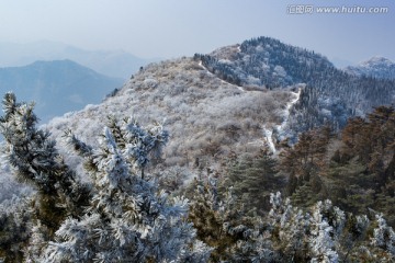 仰天山雾淞 冬 雪 雾淞 雾