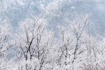 仰天山雾淞 冬 雪 雾淞 雾