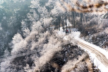 仰天山雾淞 冬 雪 雾淞