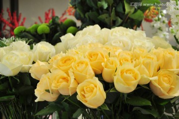 一束黄色玫瑰花