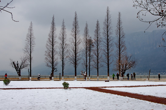 雪景