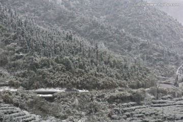 雪中大山