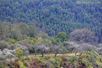 大余县梅岭古道