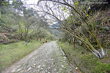 南雄梅岭古道