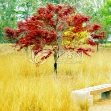 抽象風(fēng)景畫 紅楓風(fēng)景