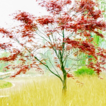 抽象風景畫 紅楓風景