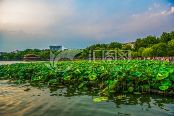 西湖风景