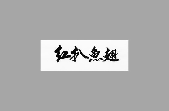 紅扒魚(yú)翅