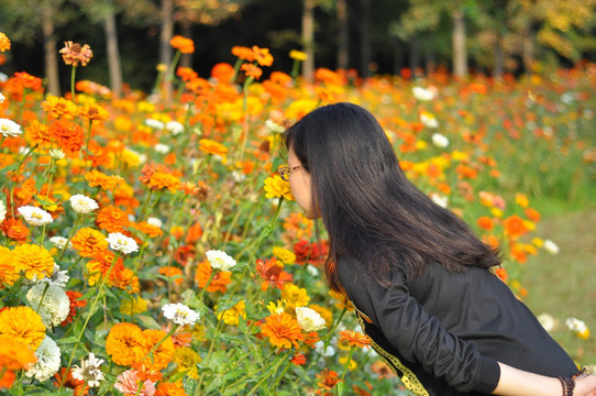 闻花香