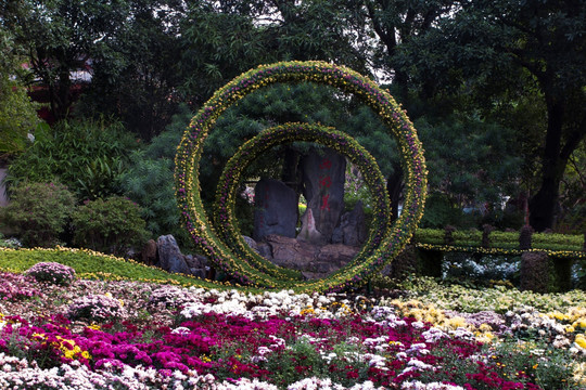 福州西湖公園菊花展