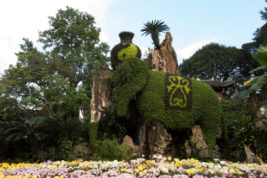 福州西湖公園菊花展