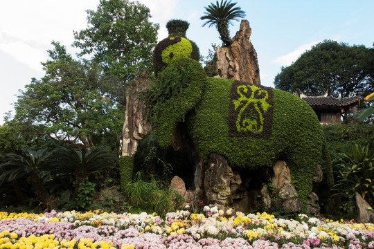 福州西湖公園菊花展