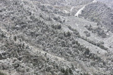 林海雪原 乐昌狮子山