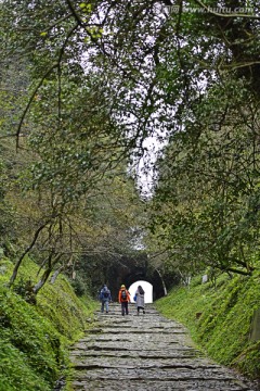 南雄梅岭古道