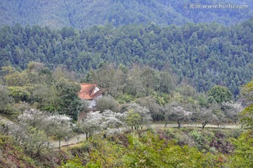 大余县梅岭古道