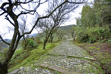 大余县梅岭古道